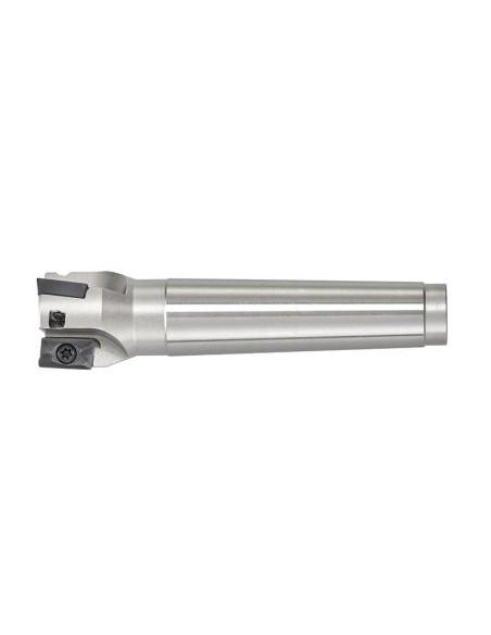 Fresa a inserto Fervi f301/32
