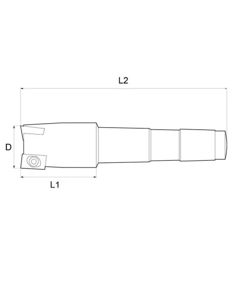 Fresa a inserto 32 mm x fresatrice Fervi f301/32cm4