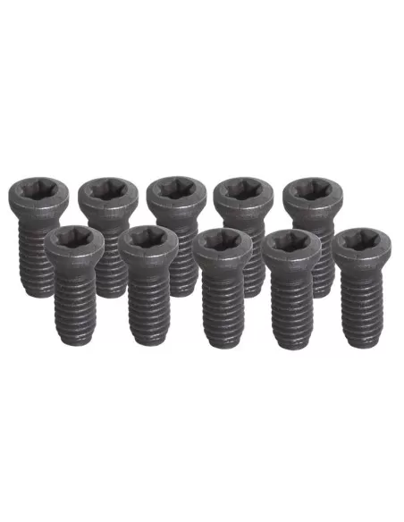 1 - Set 10 viti t15 - m3.5 Fervi kv200 x utensile tornio