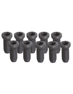 Set 10 viti Fervi kv450