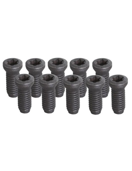 Set 10 viti Fervi kv450