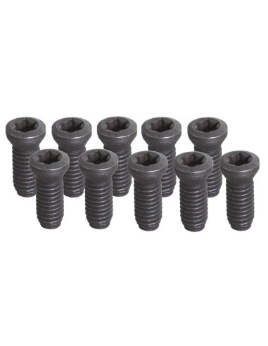 Set 10 viti Fervi kv500