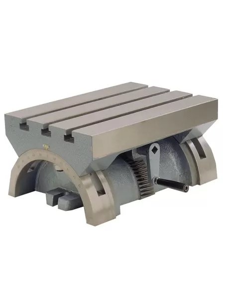 1 - Tavola basculante x fresatrice 610 x 305 x 253 mm Fervi t004/600