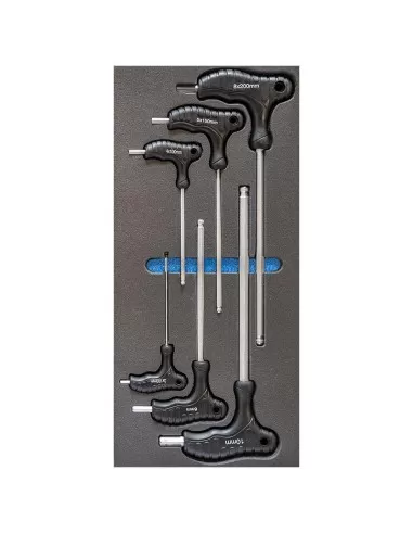 1 - Serie 12 chiavi esagonali manico 3-8 mm termoformato morbido Fervi tm01/12