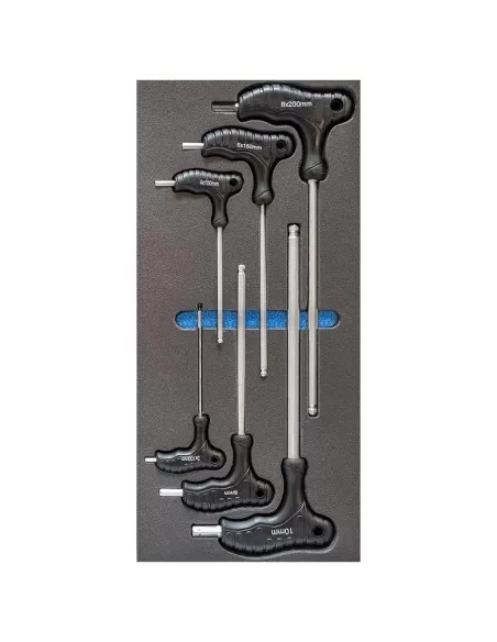 1 - Serie 12 chiavi esagonali manico 3-8 mm termoformato morbido Fervi tm01/12