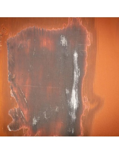 3 - Rullo abrasivo in filo di acciaio 100 x 125 per satinatrice Scheppach mrs1300