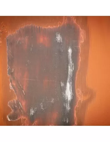 3 - Rullo abrasivo in filo di acciaio 100 x 125 per satinatrice Scheppach mrs1300