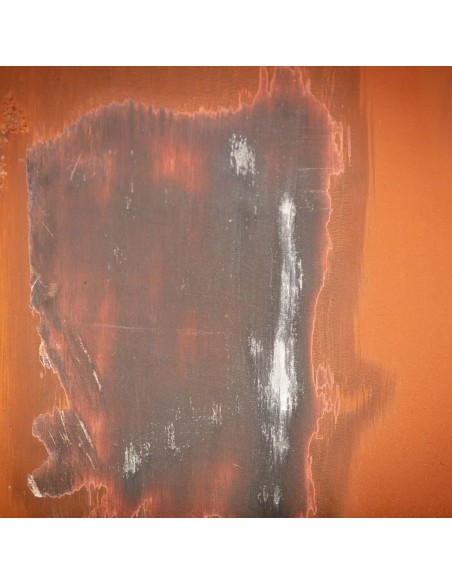 3 - Rullo abrasivo in filo di acciaio 100 x 125 per satinatrice Scheppach mrs1300