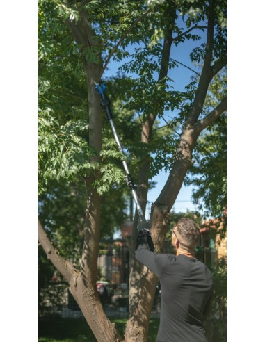 4 - Prolunga telescopica senza fili per giardinaggio e agricoltura Goodyear 3202