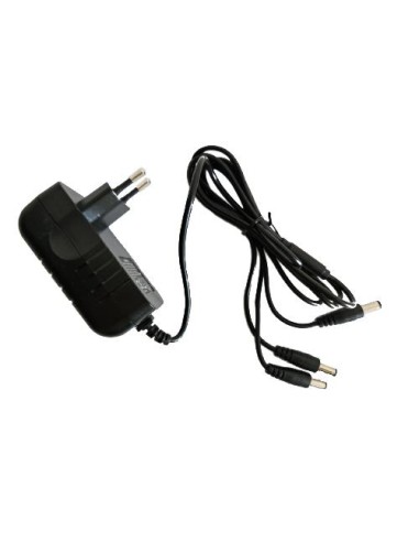 1 - Caricabatteria a 3 vie per batteria 16,8 V 2 Ah per gy2802ps GOODYEAR 21825001