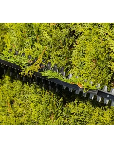 4 - Tagliasiepi brushless 2x20v barra 720mm senza batteria ixes Scheppach bc-ht720-x