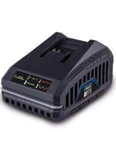 Caricabatteria rapido 20v per batterie 2.0/4.0 ah serie ixes Scheppach sbc4.5a