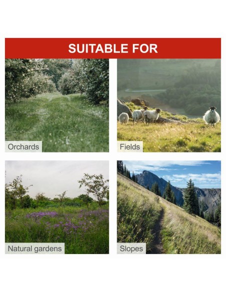 Motofalciatrice a scoppio 196 cc 4200 W 5.7 hp Scheppach bms196-88