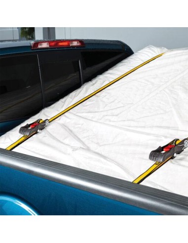 6 - Set 2 cinghia di ancoraggio a cricchetto da 2,5cmx5mtCat - Caterpillar 980479IE