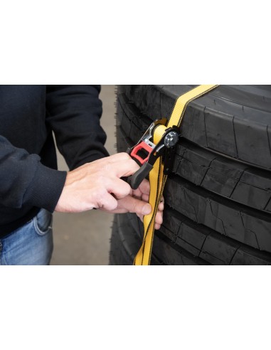 4 - Set 2 cinghia di ancoraggio a cricchetto da 2,5cmx5mt Cat - Caterpillar 980491IE