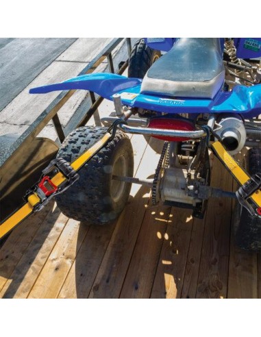 8 - Set 2 cinghia di ancoraggio a cricchetto da 2,5cmx5mt Cat - Caterpillar 980491IE