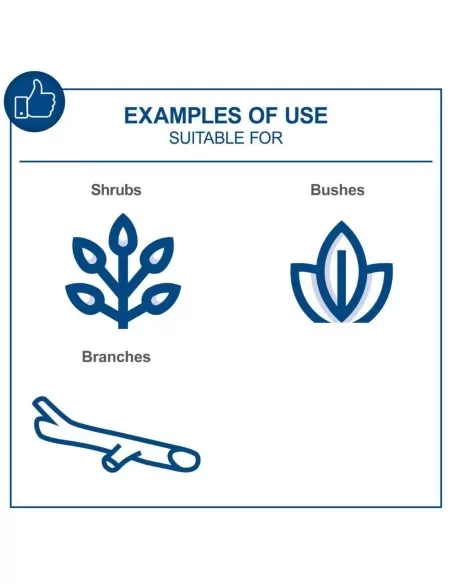 8 - Potatore 20v 2 batterie 2.0Ah e caricabatteria ixes Scheppach bc-ps150-x