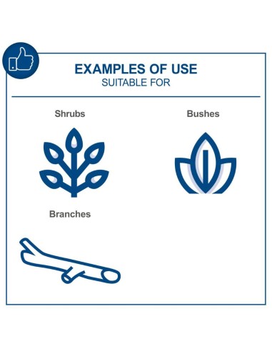 Potatore 20v 2 batterie 4.0Ah e caricabatteria ixes Scheppach bc-ps150-x