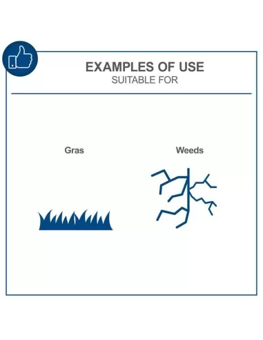 Taglia bordi 20V 1 batteria 2.0Ah + caricabatteria ixes Scheppach c-lt300-x