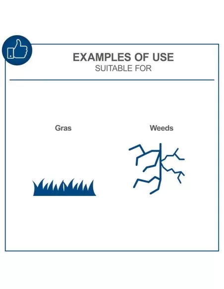 Taglia bordi 20V 2 batterie 2.0Ah + caricabatteria ixes Scheppach c-lt300-x