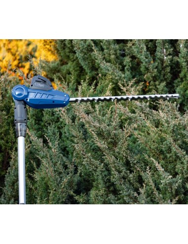 Potatore tagliasiepi con asta 20v batteria 4.0Ah ixes Scheppach c-phts410-x