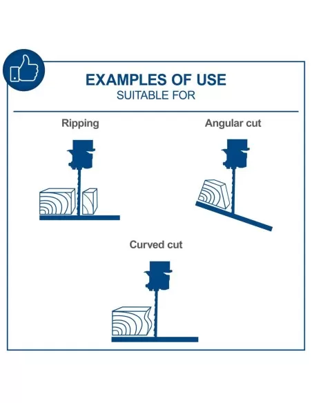 Sega a nastro Scheppach hbs25 per legno 350W 80x200 con accessori Sega a nastro Scheppach hbs25 per legno 350W 80x200 con accessori