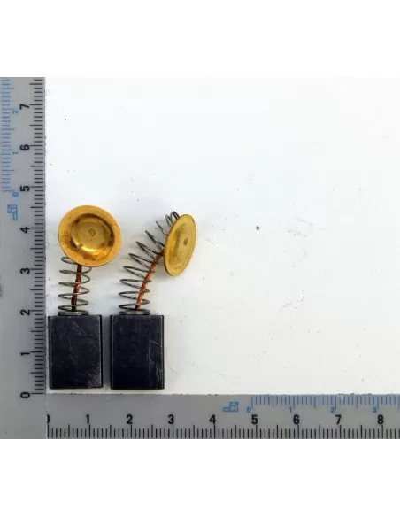 Spazzole di ricambio per miscelatore Scheppach pm1600