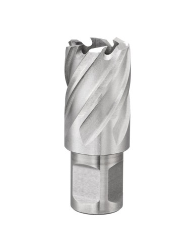 1 - Fresa a tazza con attacco weldon 13 mm Fervi f011/13