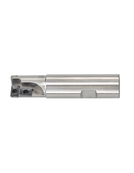 Fresa a inserto 20 mm Fervi f306/20