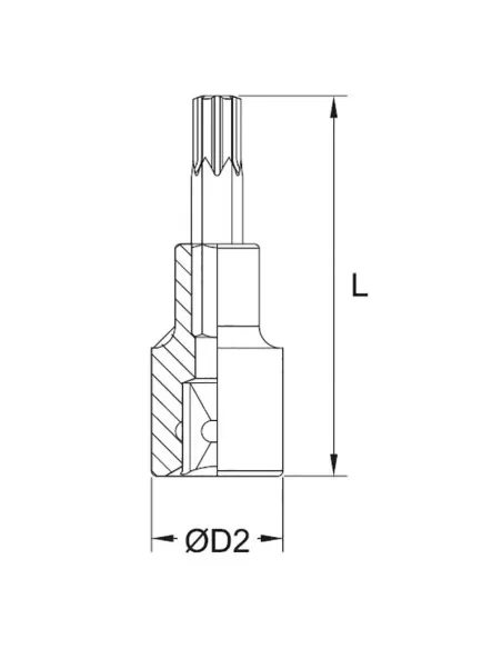 2 - Chiave a bussola con inserto torx t60 1/2 Fervi bn423n060a