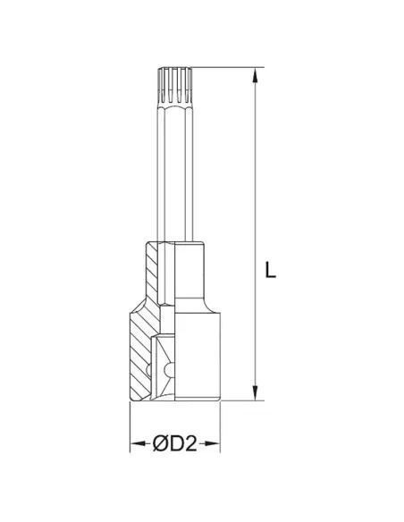 Chiave a bussola con inserto lungo ribe m6 3/8 Fervi bn434l006a
