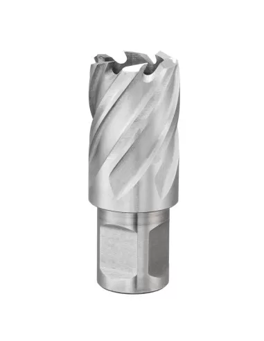 1 - Fresa a tazza con attacco weldon 40 mm Fervi f011/40