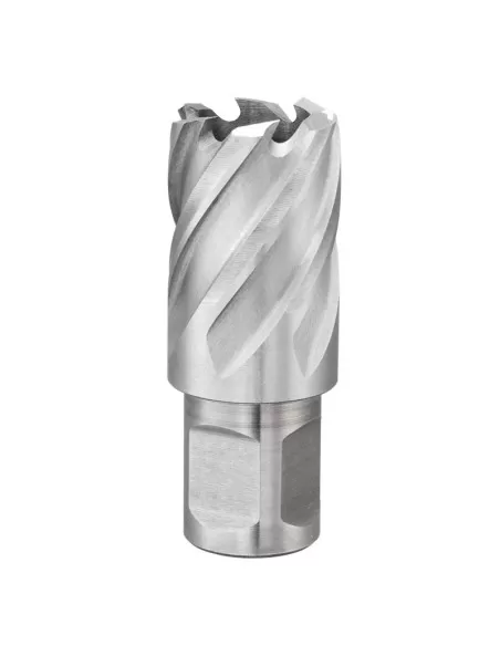 1 - Fresa a tazza con attacco weldon 40 mm Fervi f011/40