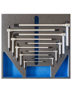 Serie 11 chiavi maschio a t 2-14 mm in termoformato morbido Fervi tm01/008