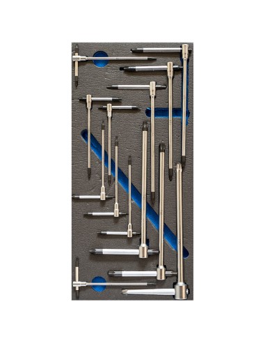 Serie 13 chiavi torx a t t6-t50 in termoformato morbido Fervi tm01/009