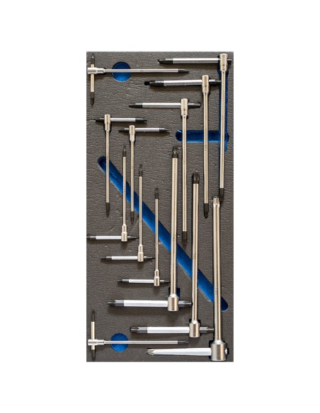 Serie 13 chiavi torx a t t6-t50 in termoformato morbido Fervi tm01/009