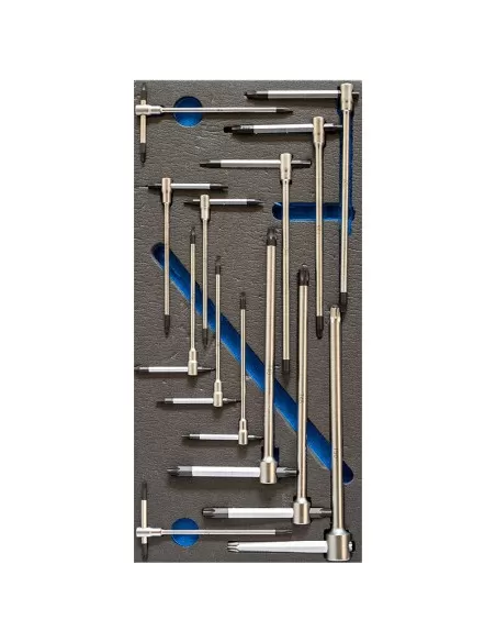 1 - Serie 13 chiavi torx a t t6-t50 in termoformato morbido Fervi tm01/009