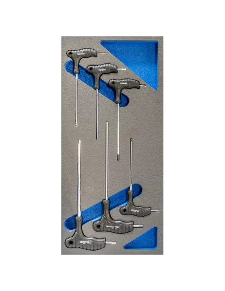 1 - Serie 6 chiavi torx con manico t10-t40 in termoformato morbido Fervi tm01/014