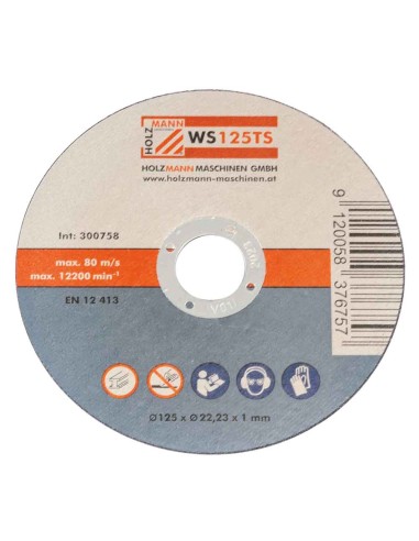 Set 10 dischi abrasivi da taglio metallo 125x1 mm