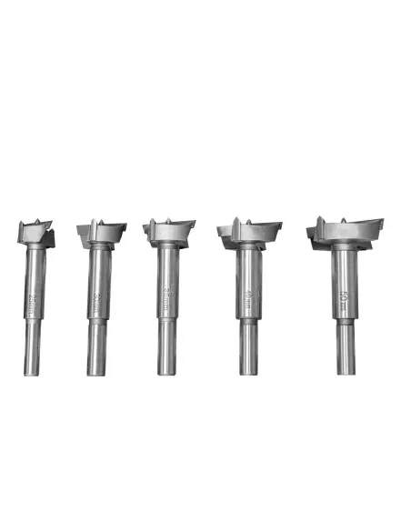 2 - Set 5 frese cerniere hm x legno Holzmann fbs5tlg