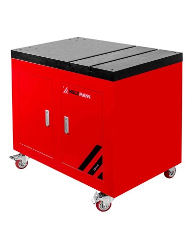 2 - Banco maschiatrice a braccio Holzmann gsmms