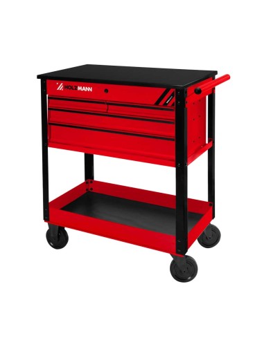 Carrello cassettiera officina porta utensili Holzmann ww862eco