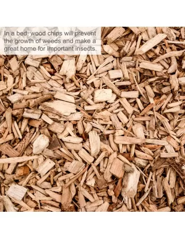 5 - Biotrituratore elettrico da giardino 2800w Scheppach gs70