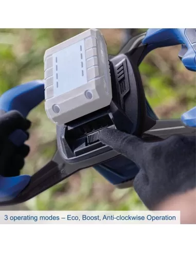 5 - Mototrivella bc-eb100-x 20v 1 batteria 4,0Ah e caricabatteria ixes Scheppach