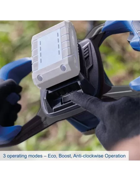 5 - Mototrivella bc-eb100-x 20v 1 batteria 4,0Ah e caricabatteria ixes Scheppach