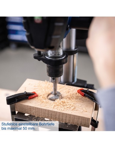 Trapano a colonna da banco 550w Scheppach tbm250