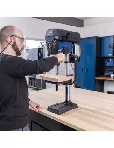 5 - Trapano a colonna da banco 600w Scheppach tbm250vario