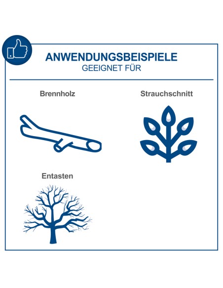 9 - Motosega c-cs254-x 20v 1 batteria 4.0 Ah e caricabatteria ixes Scheppach