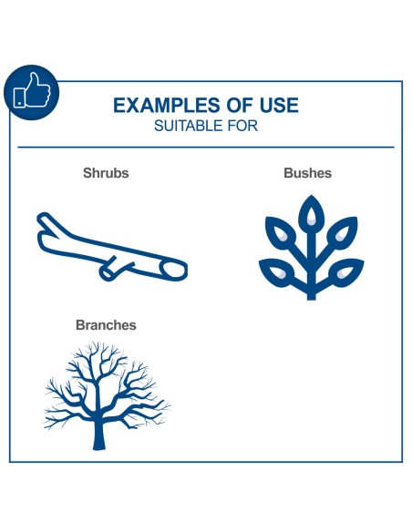 Motosega bc-tcs200-x 1 batteria 4,0Ah e caricabatteria ixes Scheppach