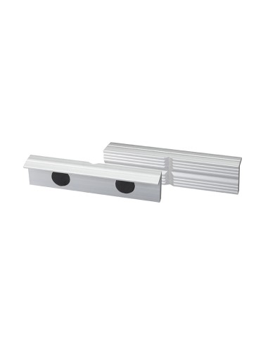 1 - COPPIA GANASCE MAGNETICHE FERVI 0042/125